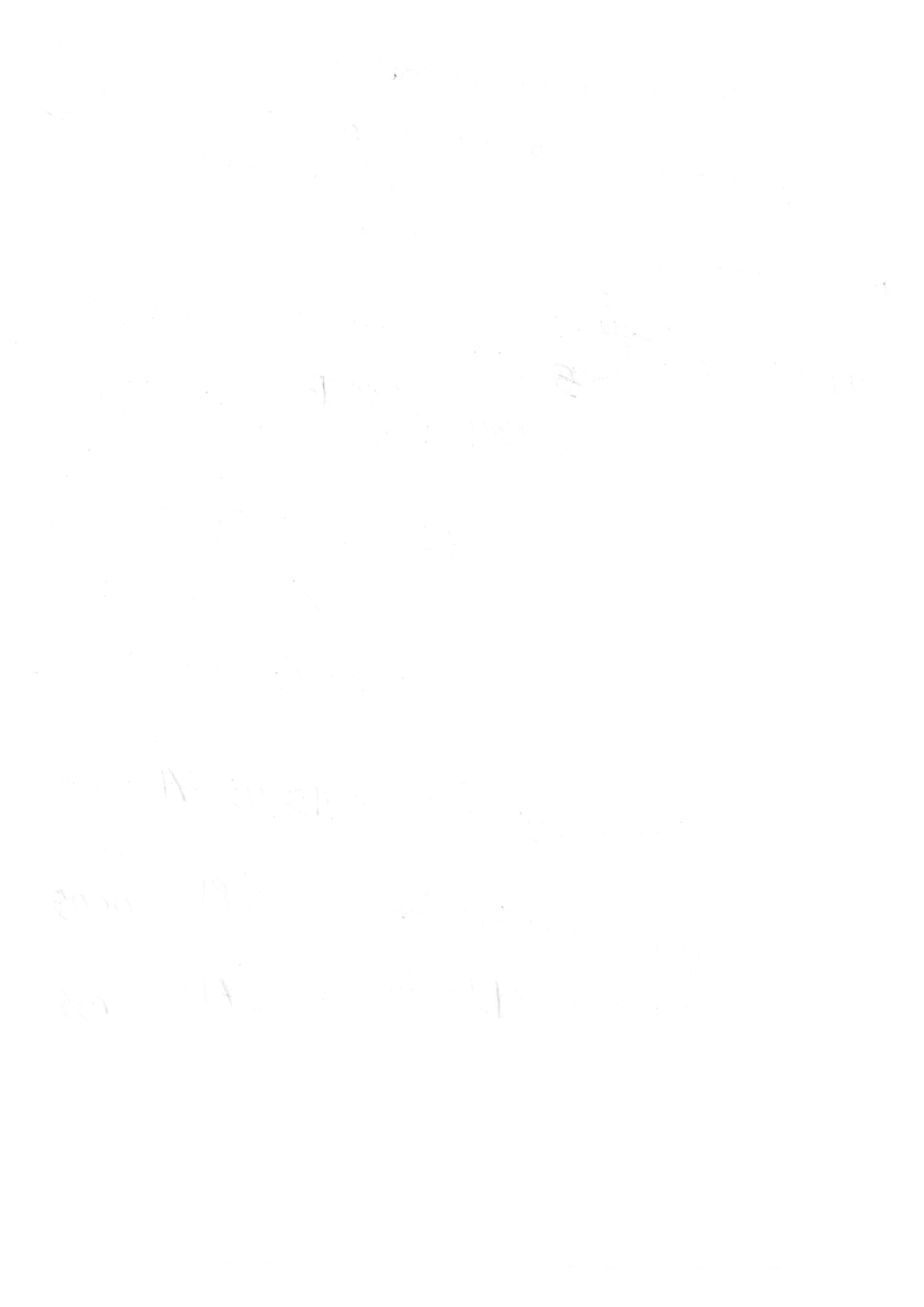 Foto Persona